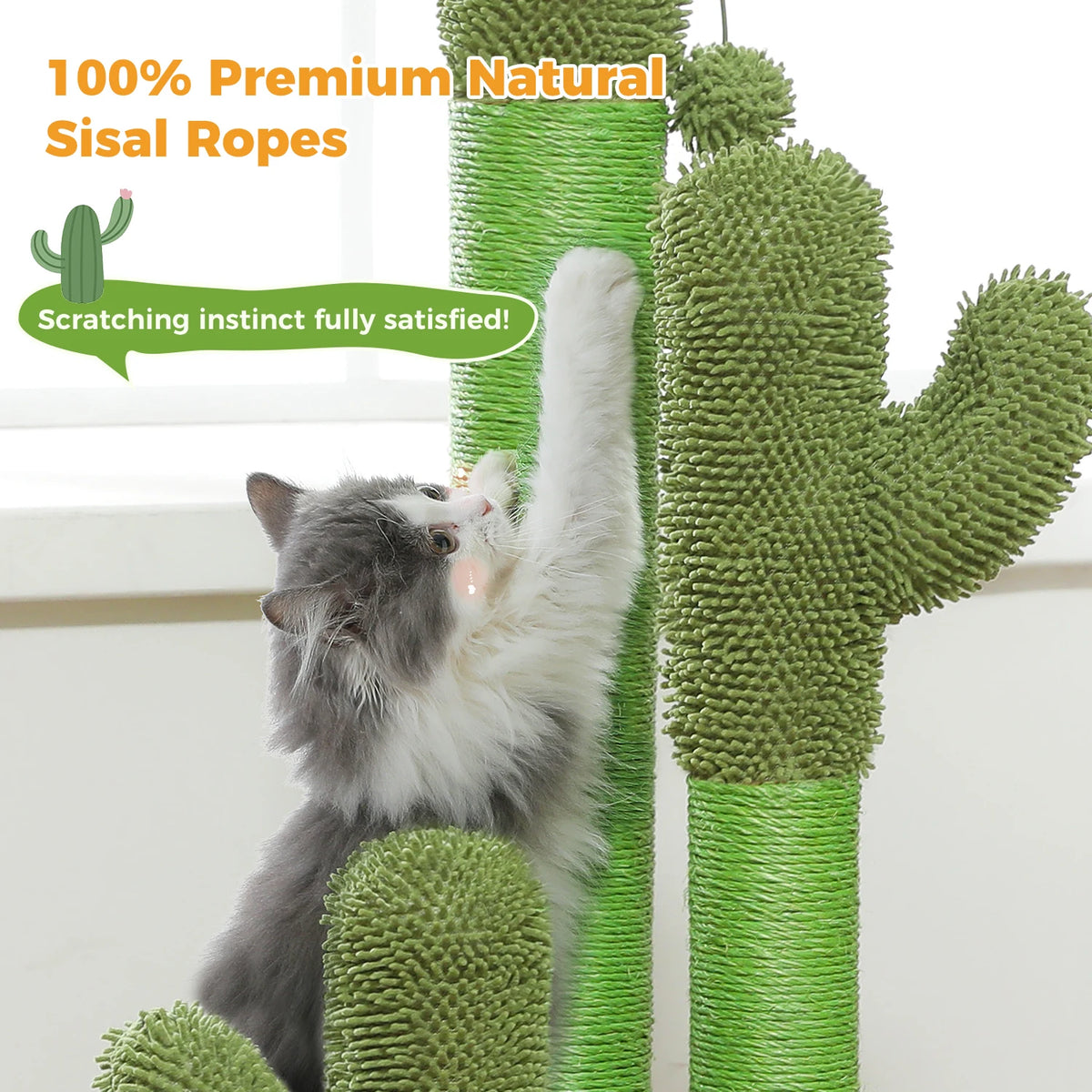 PAWZ Road Cat Scratcher with Sisal Poles and Dangling Ball