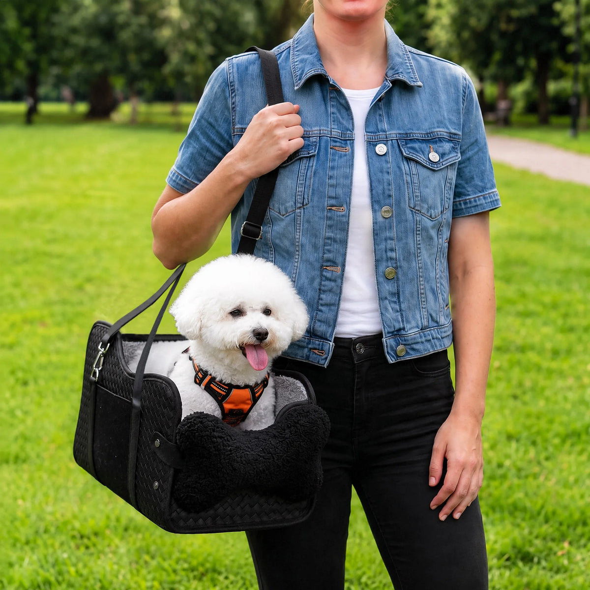 Pet Car Booster Seat With Safety Leash For Small Dogs
